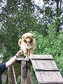 IMG_4704
