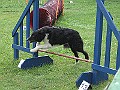 IMG_4717