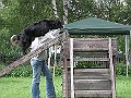 IMG_4745