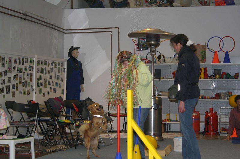 IMG_5773.jpg