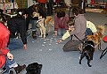 IMG_5695