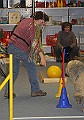 IMG_5792