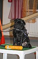 IMG_5806