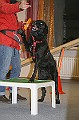 IMG_5809