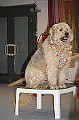 IMG_5811