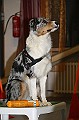 IMG_5812