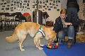 IMG_5818