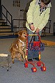 IMG_5823