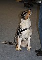 IMG_5839