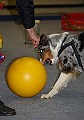 IMG_5840
