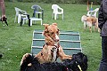 IMG_2175