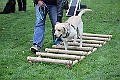IMG_2204