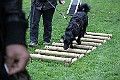 IMG_2207