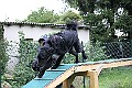 IMG_2219
