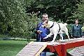 IMG_2224