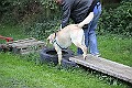 IMG_2281