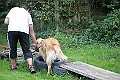 IMG_2288