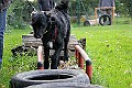 IMG_2502