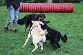 IMG_2525