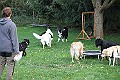 IMG_2534