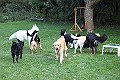IMG_2536