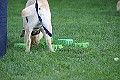 IMG_2547