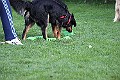 IMG_2549