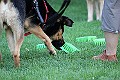IMG_2561