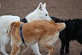 IMG_2585