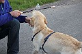 IMG_2624