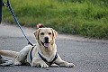IMG_2660