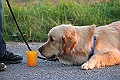 IMG_2673