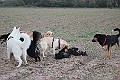 IMG_2685