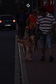 IMG_3383
