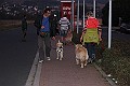 IMG_3387