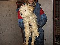 IMG_3683