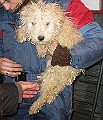 IMG_3685