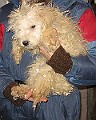 IMG_3687