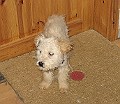 IMG_3762
