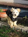 IMG_3778