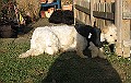 IMG_3780