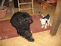 IMG_3783