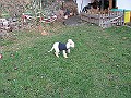 IMG_3810