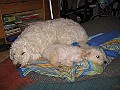 IMG_3887