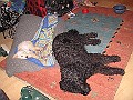 IMG_3897
