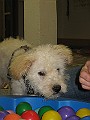 IMG_3913