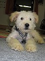 IMG_3921