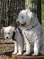 IMG_3947