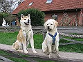 IMG_4170