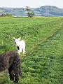 IMG_4269